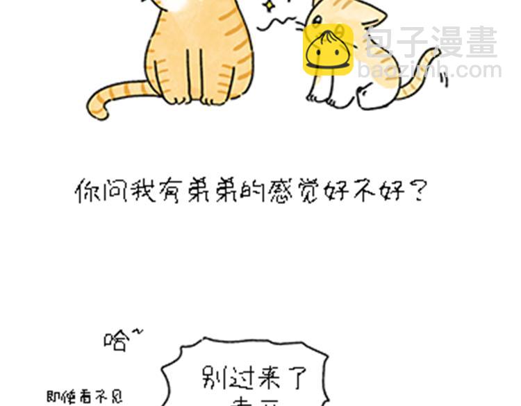 《吐司猫咪POUNDCAT》热可可和小奶油的梦之星电台 第32页