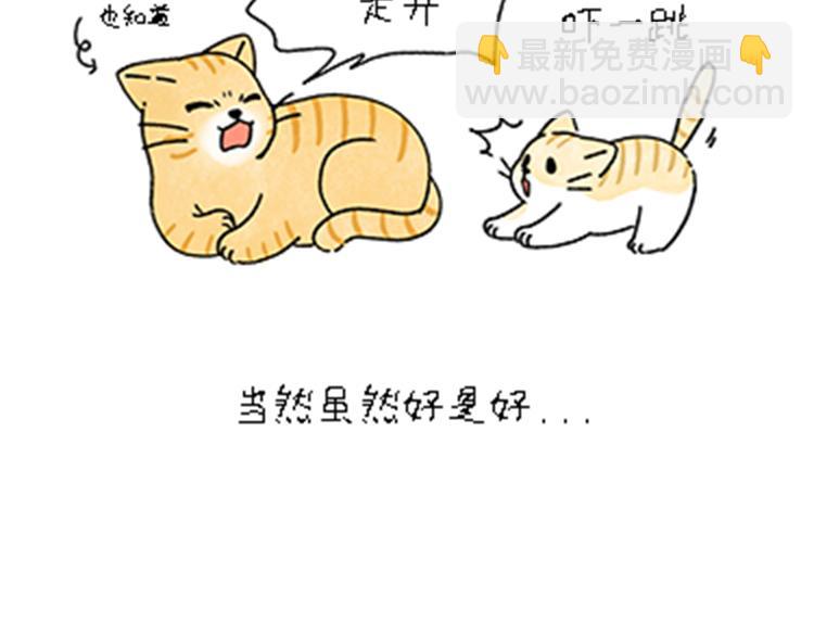 《吐司猫咪POUNDCAT》热可可和小奶油的梦之星电台 第33页