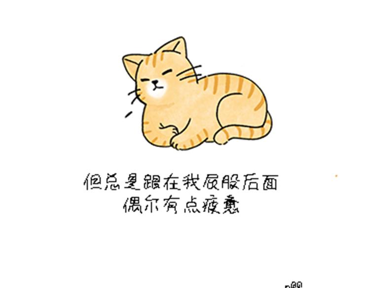 《吐司猫咪POUNDCAT》热可可和小奶油的梦之星电台 第35页
