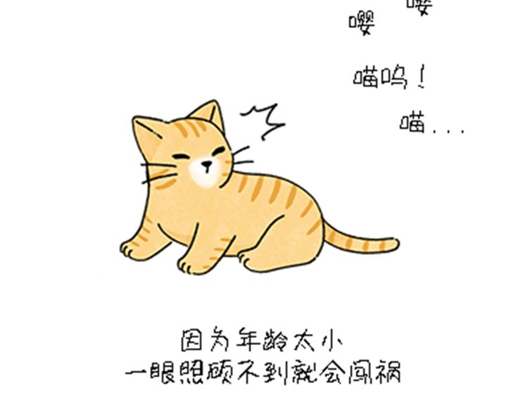 《吐司猫咪POUNDCAT》热可可和小奶油的梦之星电台 第36页
