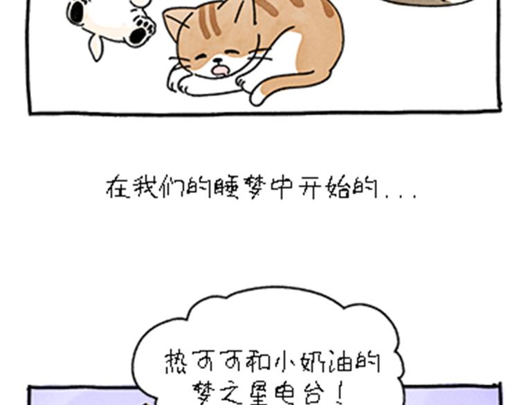 《吐司猫咪POUNDCAT》热可可和小奶油的梦之星电台 第3页