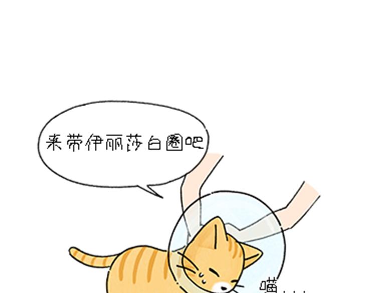 《吐司猫咪POUNDCAT》热可可和小奶油的梦之星电台 第40页