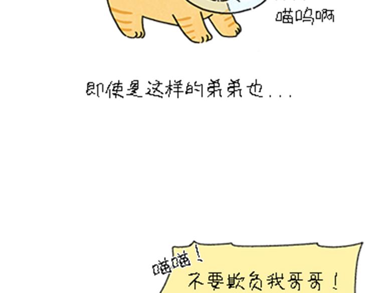 《吐司猫咪POUNDCAT》热可可和小奶油的梦之星电台 第41页