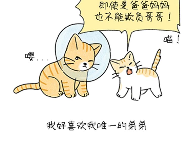 《吐司猫咪POUNDCAT》热可可和小奶油的梦之星电台 第42页