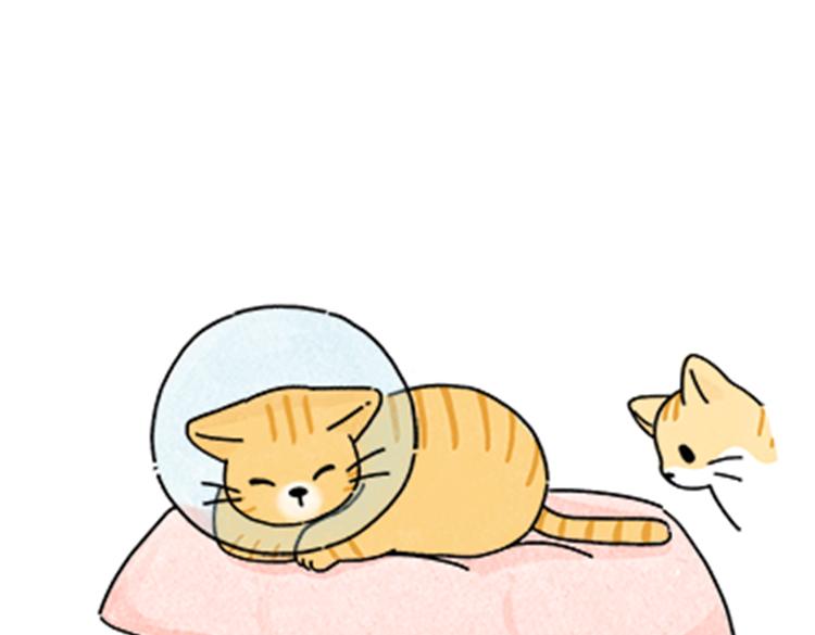 《吐司猫咪POUNDCAT》热可可和小奶油的梦之星电台 第43页