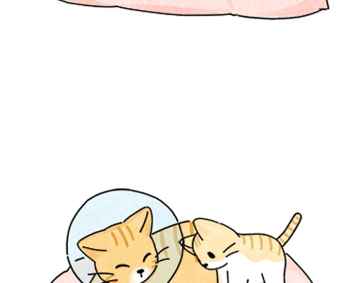 《吐司猫咪POUNDCAT》热可可和小奶油的梦之星电台 第44页