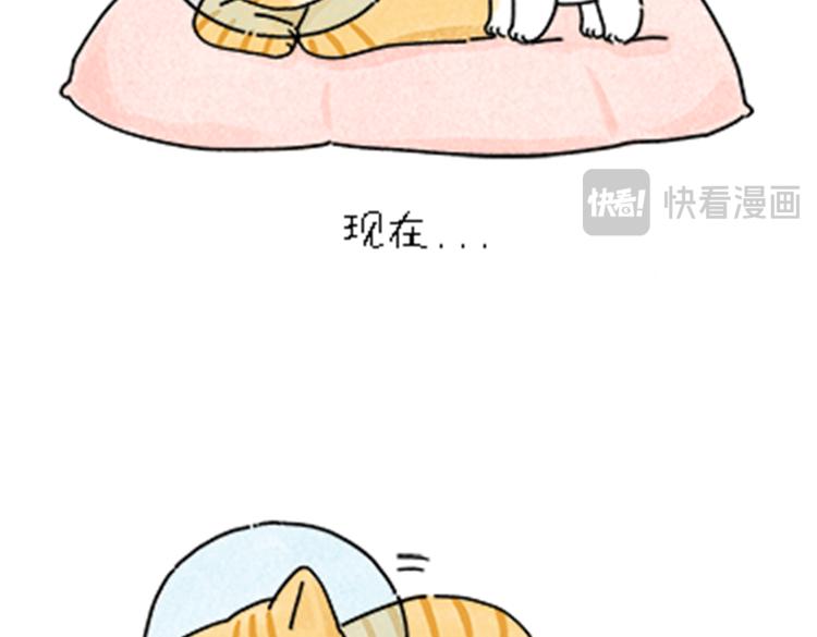 《吐司猫咪POUNDCAT》热可可和小奶油的梦之星电台 第45页