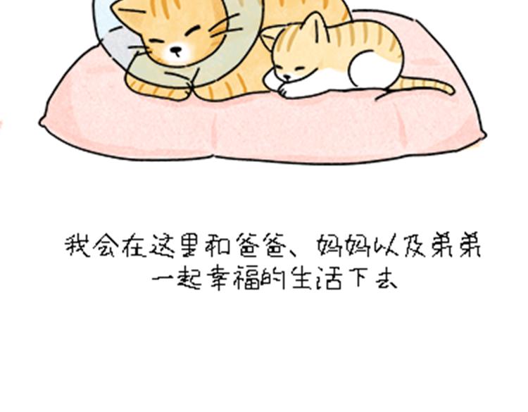 《吐司猫咪POUNDCAT》热可可和小奶油的梦之星电台 第46页
