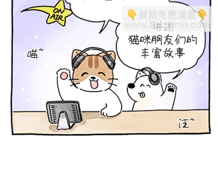 《吐司猫咪POUNDCAT》热可可和小奶油的梦之星电台 第4页