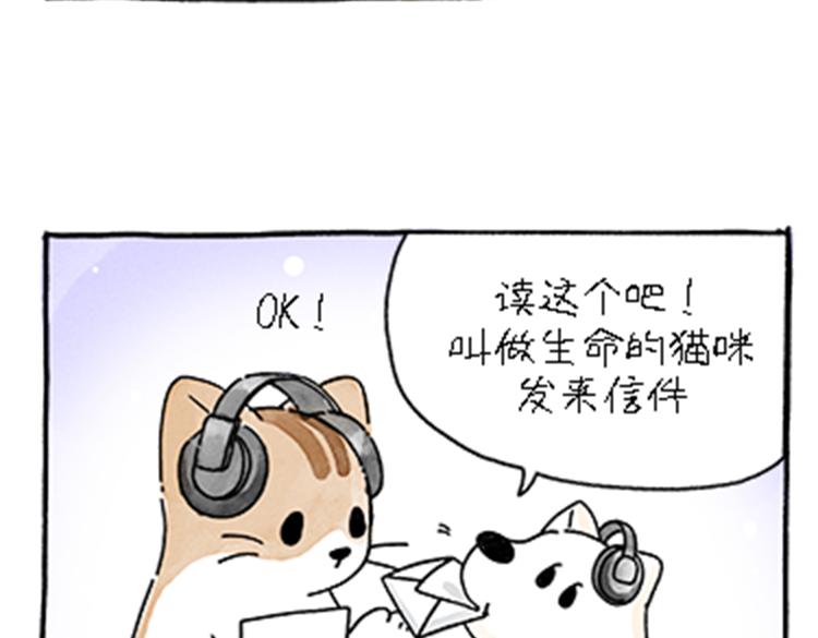 《吐司猫咪POUNDCAT》热可可和小奶油的梦之星电台 第6页