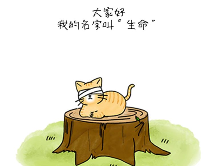 《吐司猫咪POUNDCAT》热可可和小奶油的梦之星电台 第9页
