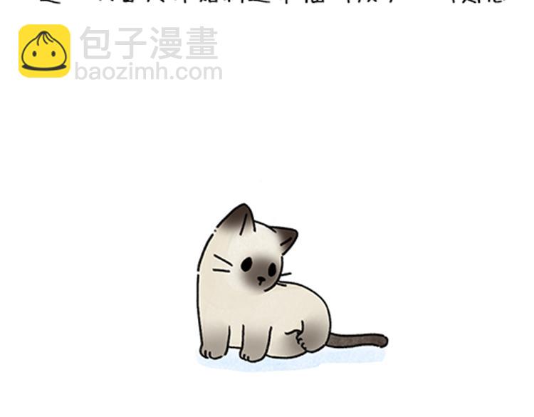 《吐司猫咪POUNDCAT》春福的故事 第10页