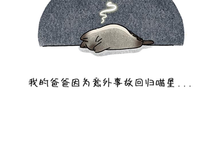 《吐司猫咪POUNDCAT》春福的故事 第13页