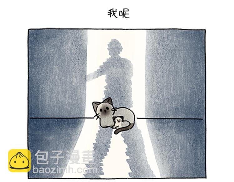 《吐司猫咪POUNDCAT》春福的故事 第14页