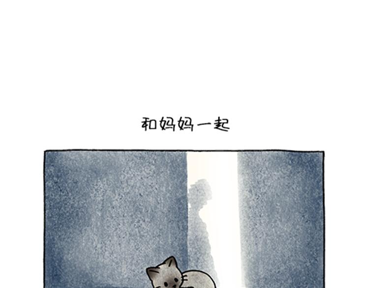 《吐司猫咪POUNDCAT》春福的故事 第15页