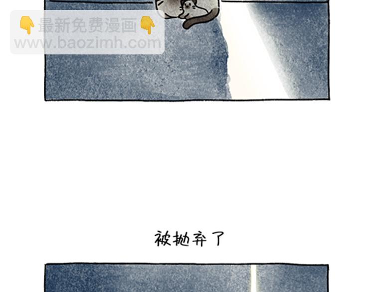 《吐司猫咪POUNDCAT》春福的故事 第16页
