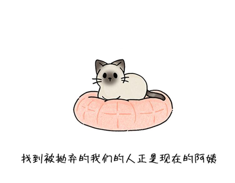 《吐司猫咪POUNDCAT》春福的故事 第19页