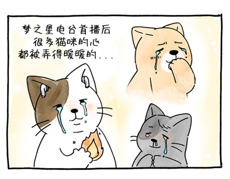 《吐司猫咪POUNDCAT》春福的故事 第1页