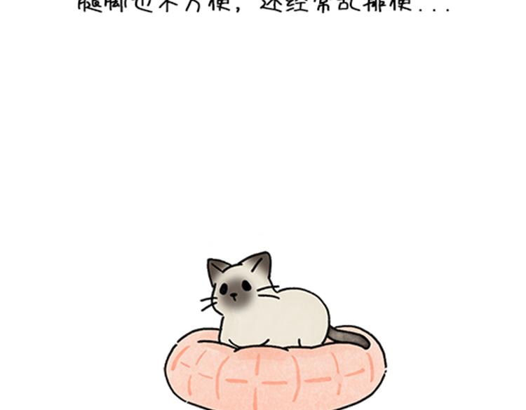 《吐司猫咪POUNDCAT》春福的故事 第21页