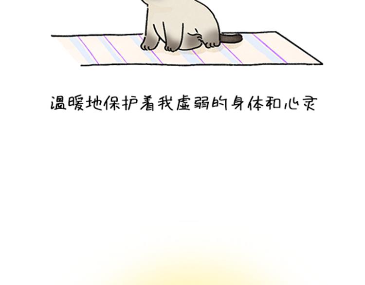 《吐司猫咪POUNDCAT》春福的故事 第23页