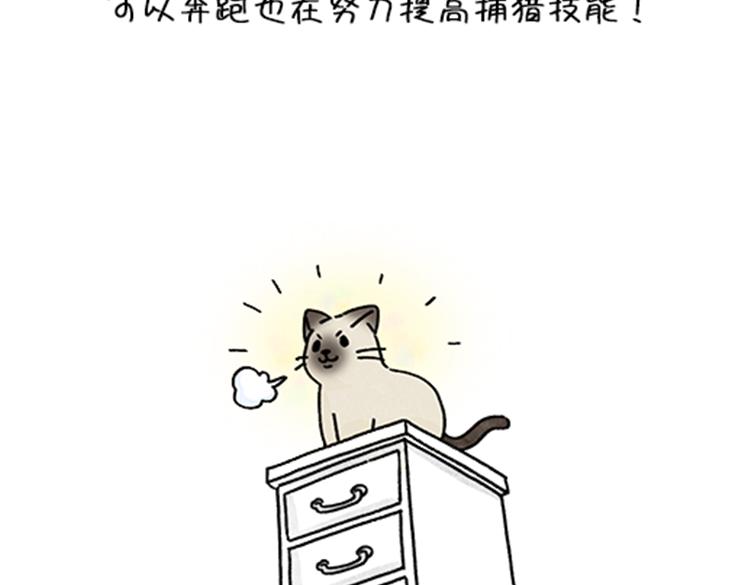 《吐司猫咪POUNDCAT》春福的故事 第26页