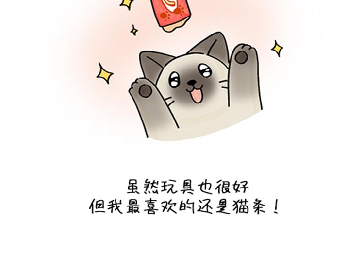 《吐司猫咪POUNDCAT》春福的故事 第28页