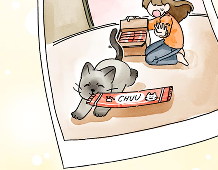 《吐司猫咪POUNDCAT》春福的故事 第38页