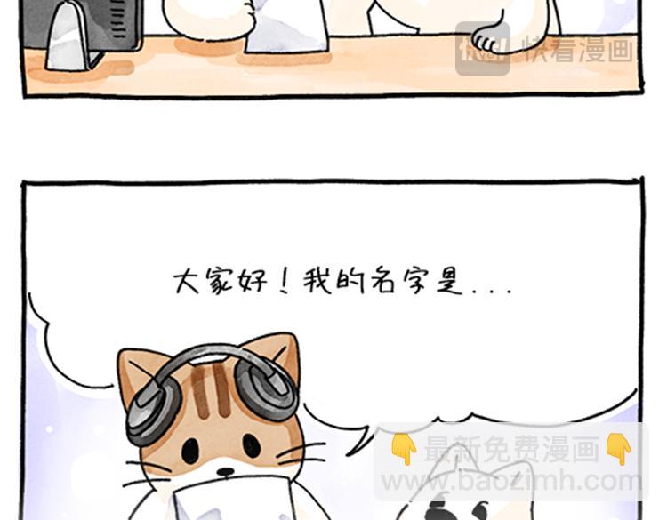 《吐司猫咪POUNDCAT》春福的故事 第7页