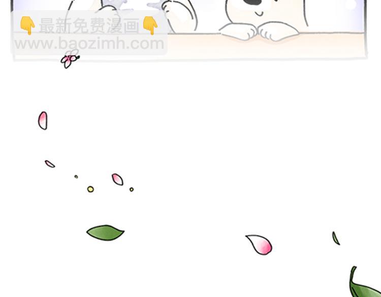 《吐司猫咪POUNDCAT》春福的故事 第8页