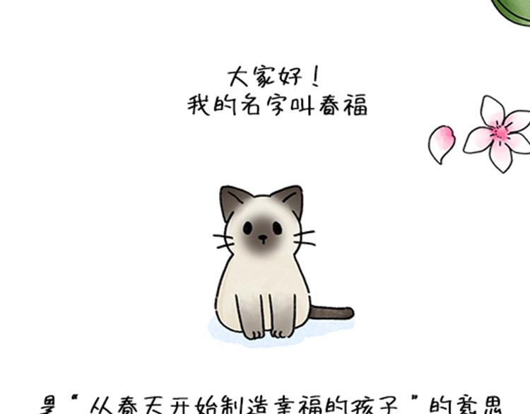 《吐司猫咪POUNDCAT》春福的故事 第9页
