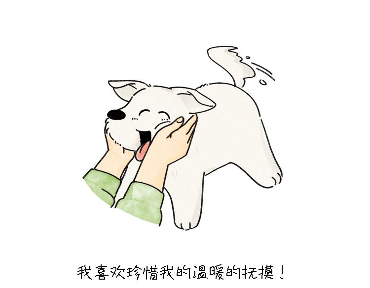 《吐司猫咪POUNDCAT》小石头的故事 第32页
