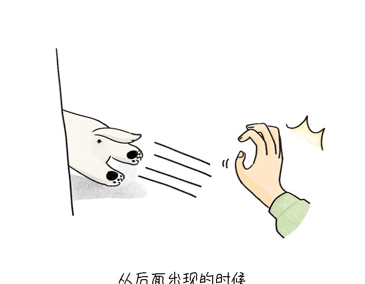 《吐司猫咪POUNDCAT》小石头的故事 第36页