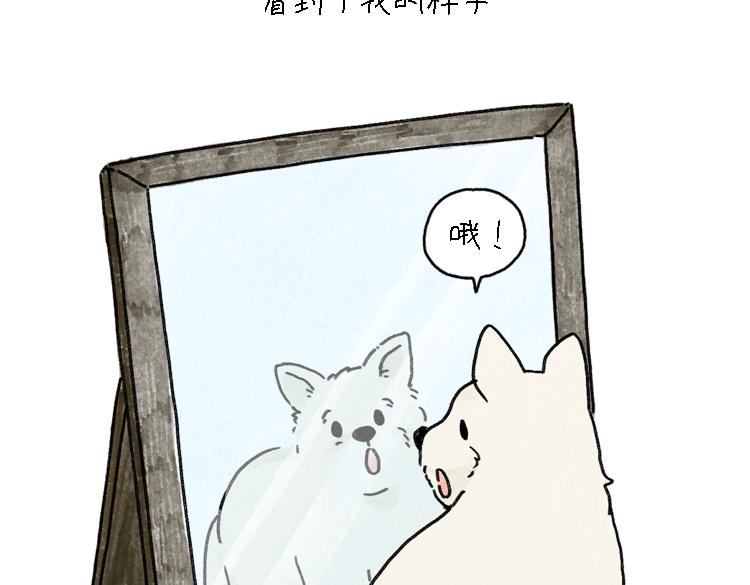 《吐司猫咪POUNDCAT》小石头的故事 第40页