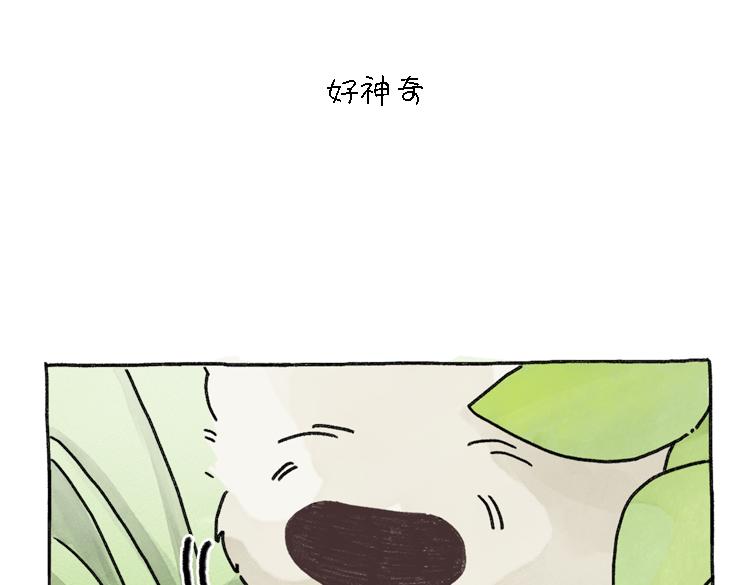 《吐司猫咪POUNDCAT》小石头的故事 第43页