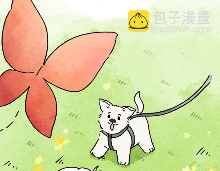 《吐司猫咪POUNDCAT》小石头的故事 第45页