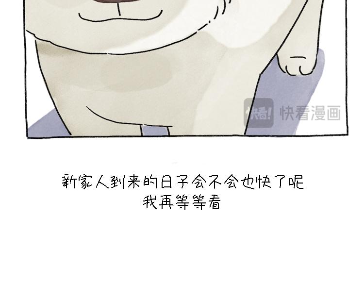 《吐司猫咪POUNDCAT》小石头的故事 第49页