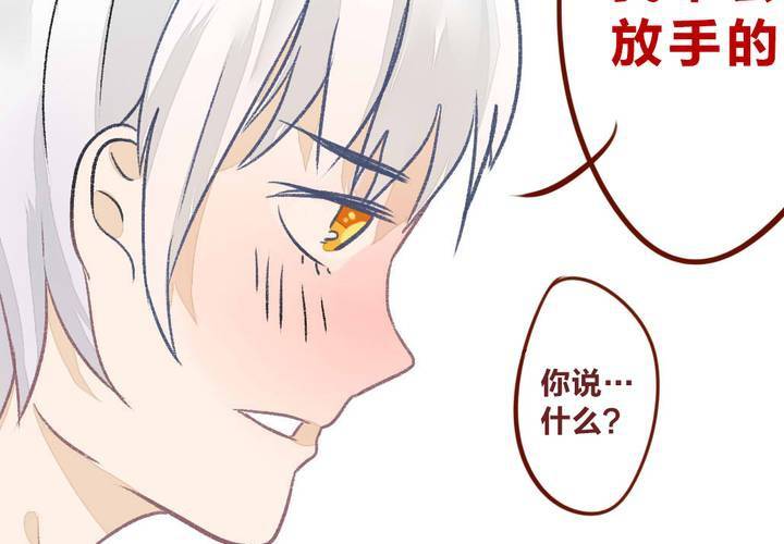 《狐鸣鱼说》命定之人 第40页