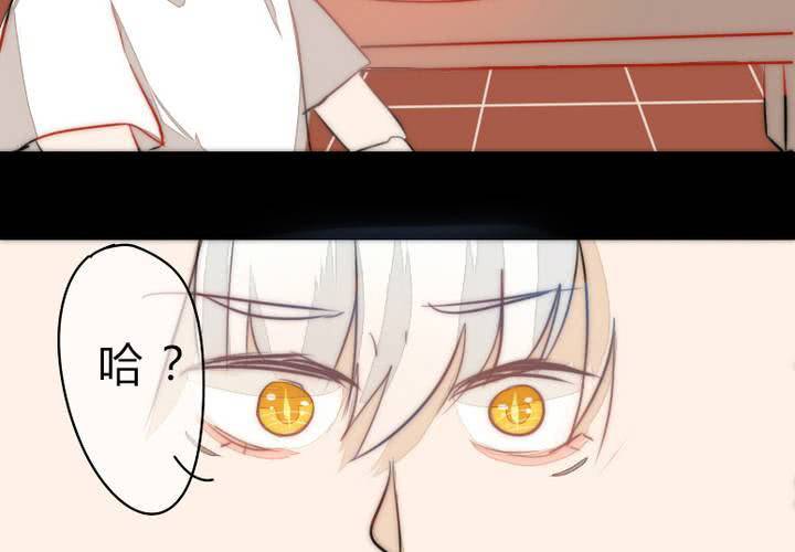 《狐鸣鱼说》约定 第20页