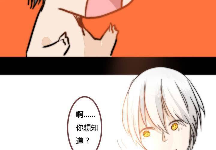 《狐鸣鱼说》夕阳与你 第26页