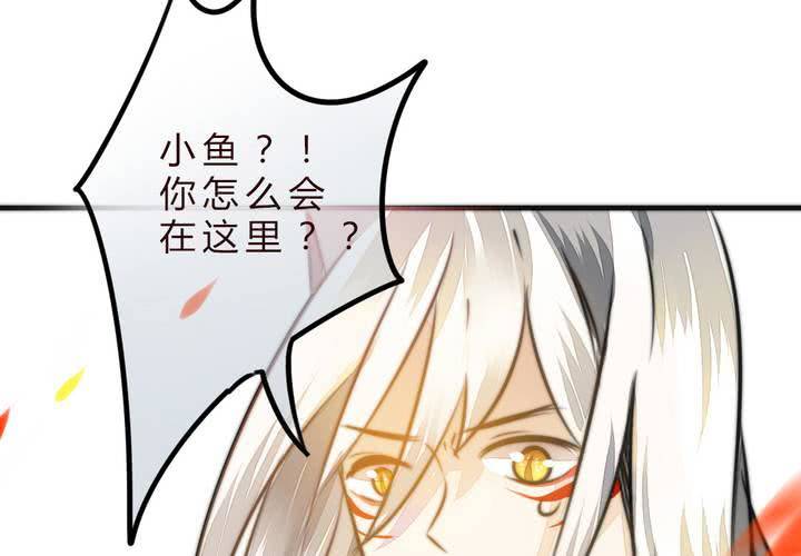 《狐鸣鱼说》爆发 第20页