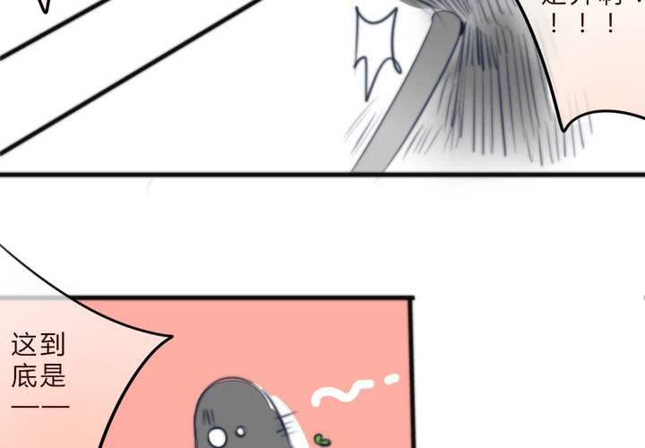 《狐鸣鱼说》追寻 第24页