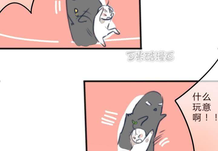 《狐鸣鱼说》追寻 第25页