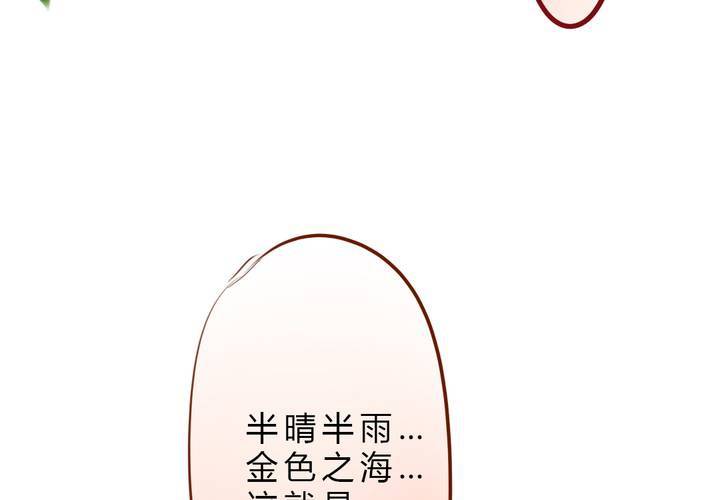 《狐鸣鱼说》晴雨的心情 第30页