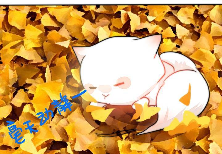 《狐鸣鱼说》晴雨的心情 第45页