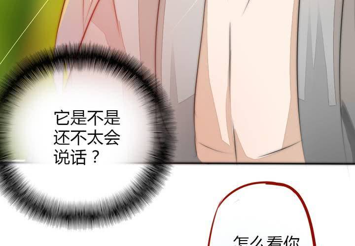 《狐鸣鱼说》定下的约定 第22页
