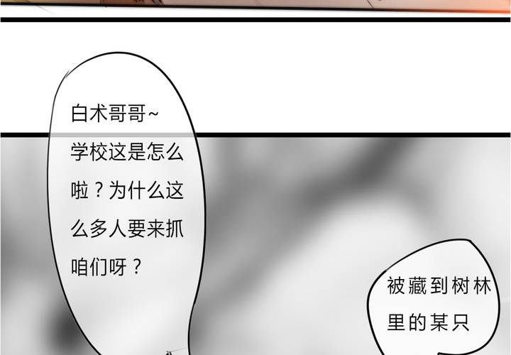 《狐鸣鱼说》被告知的真相 第5页