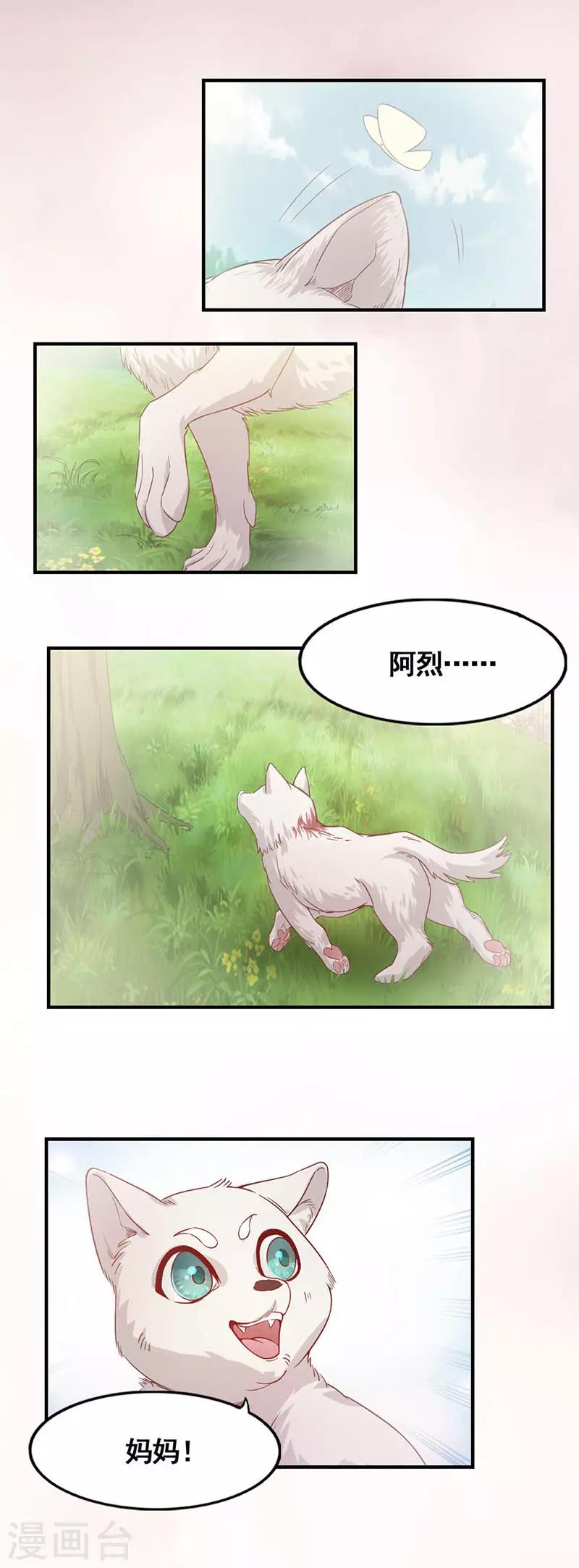 《狼王的致命契约》第13话 总有一天还会相遇 第1页