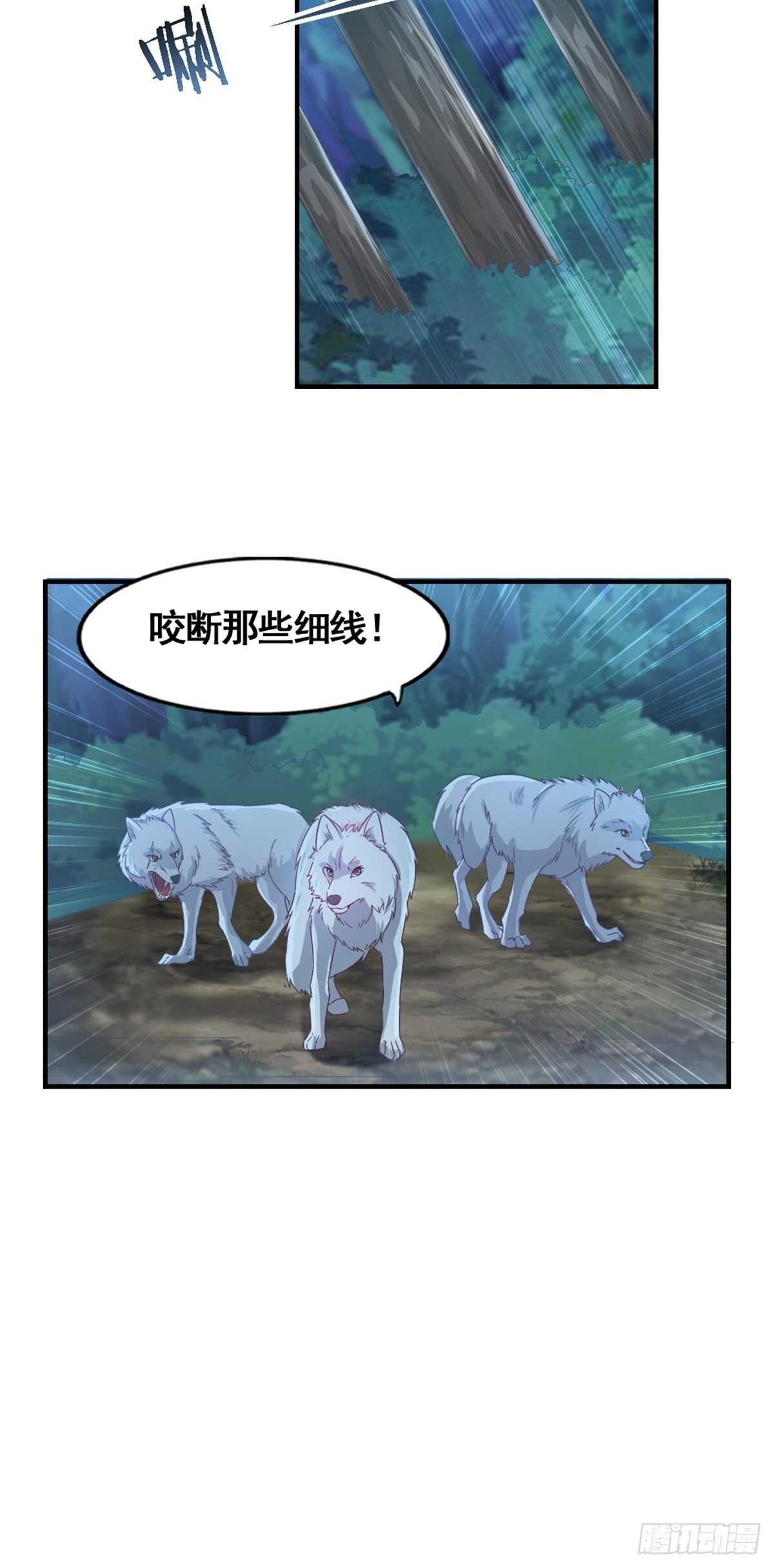 《狼王的致命契约》17-月神遗孤 第3页
