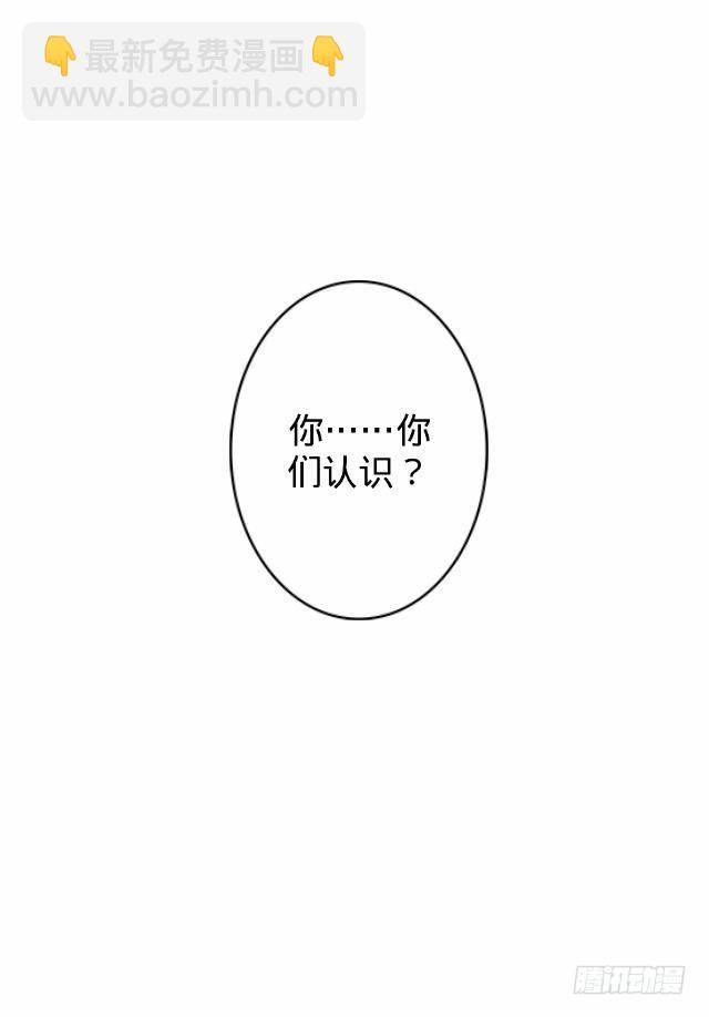 《仙境没有爱丽丝》你俩到底啥情况 第12页