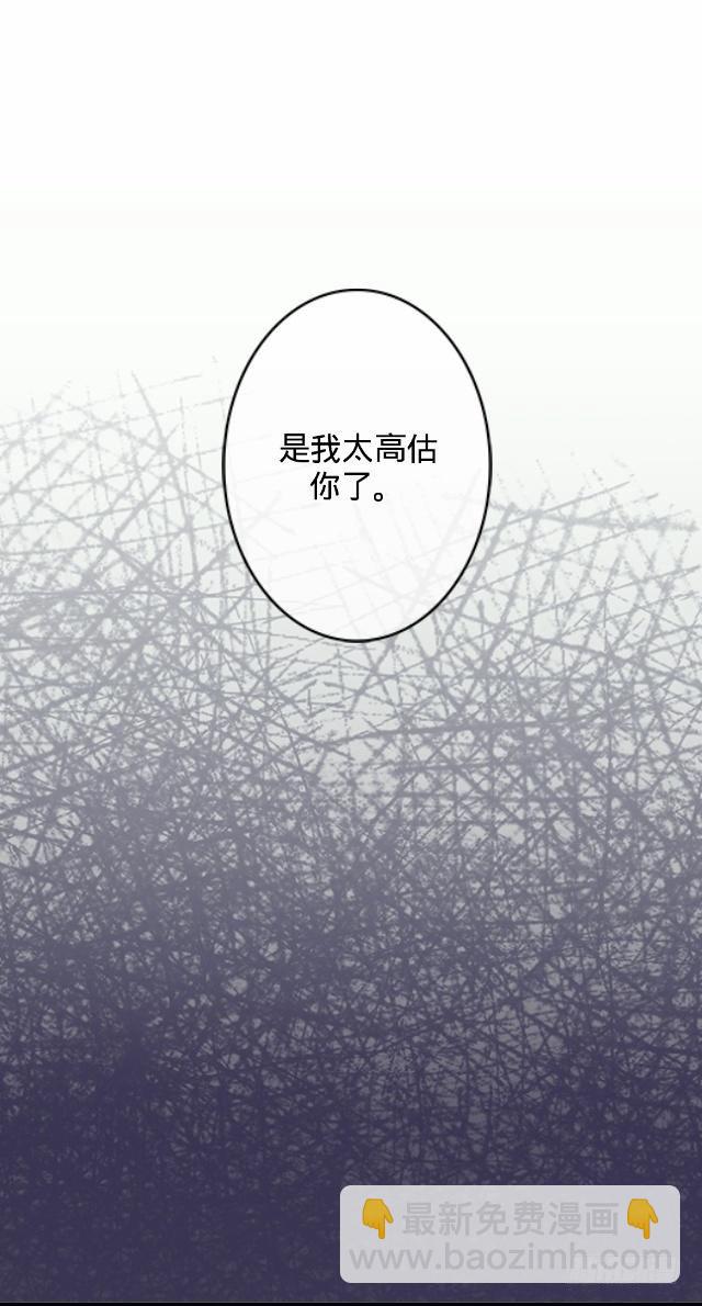 《仙境没有爱丽丝》你俩到底啥情况 第29页